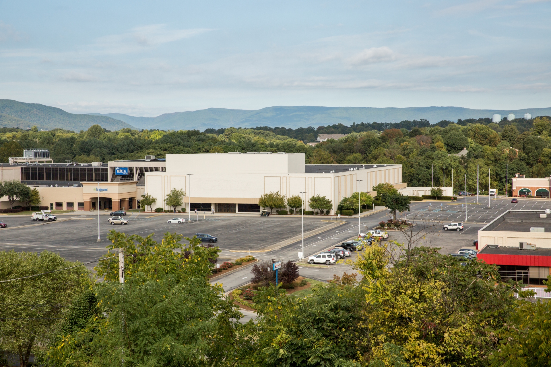 tanglewood