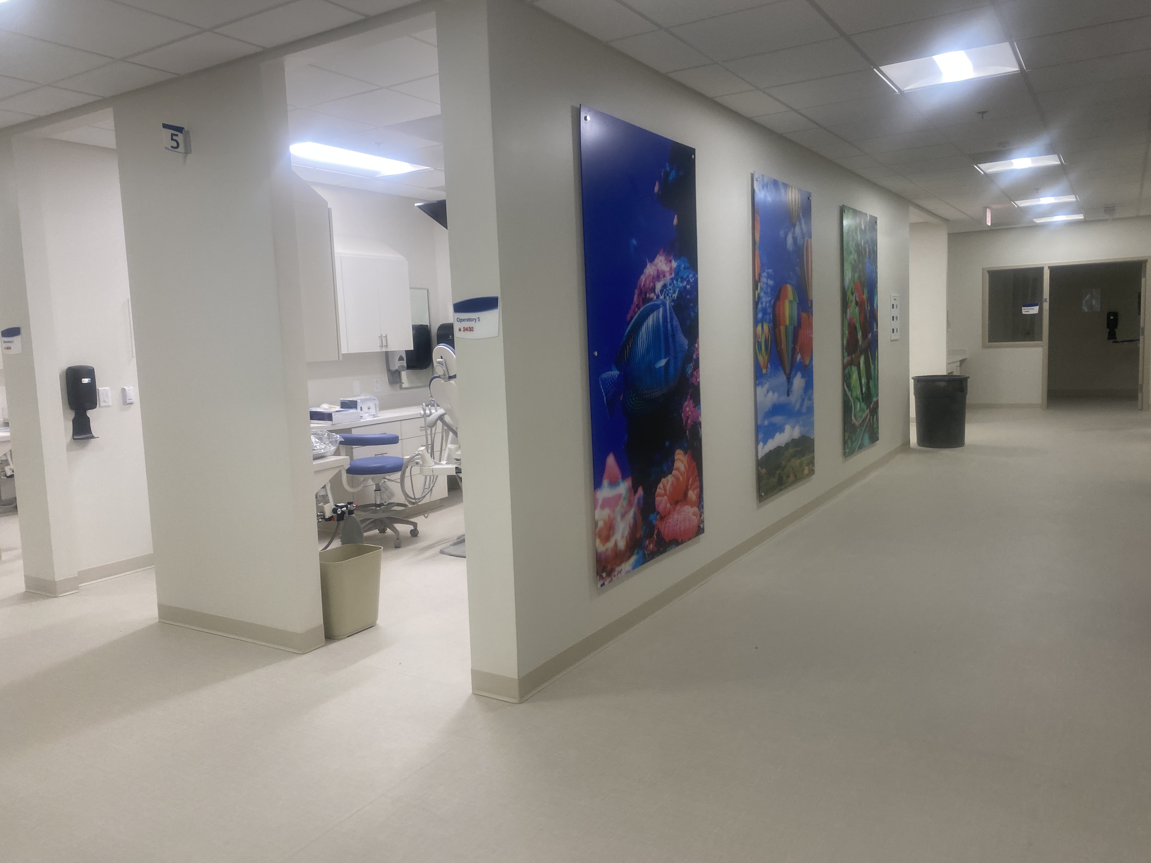 Dentistry area, August 2021