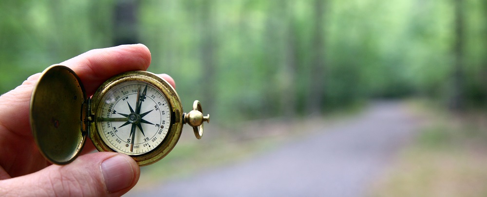 hand holding a compass next to a path in the woods