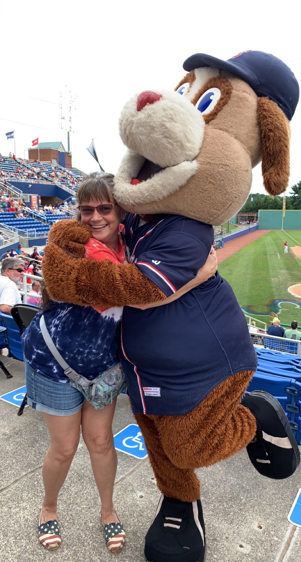 Carilion Night With the Red Sox 