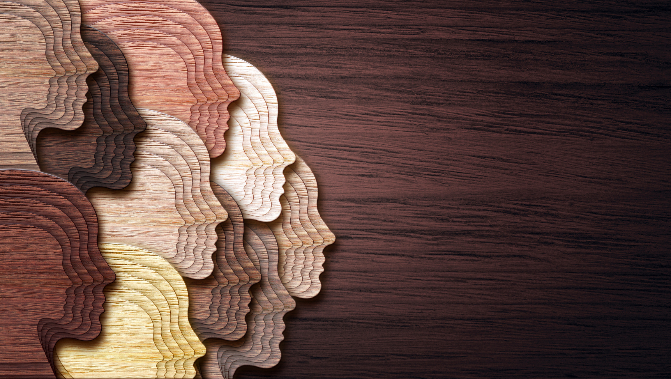 profiles of faces