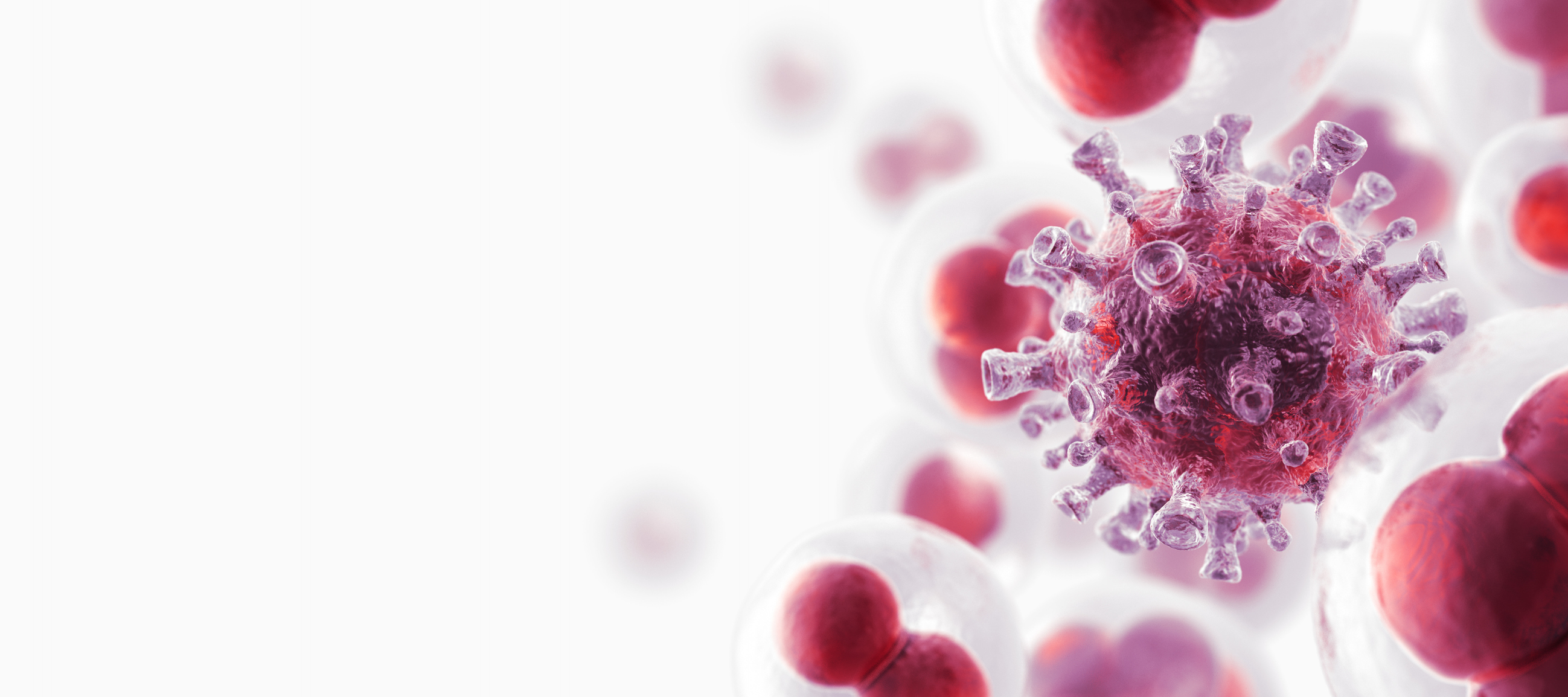 cancer cells
