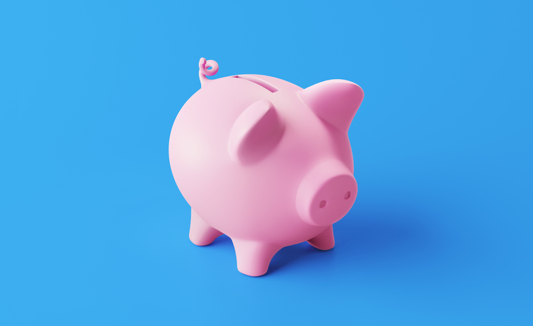 Your wallet - piggy bank