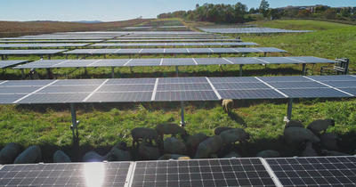 Solar panels at CNRV.