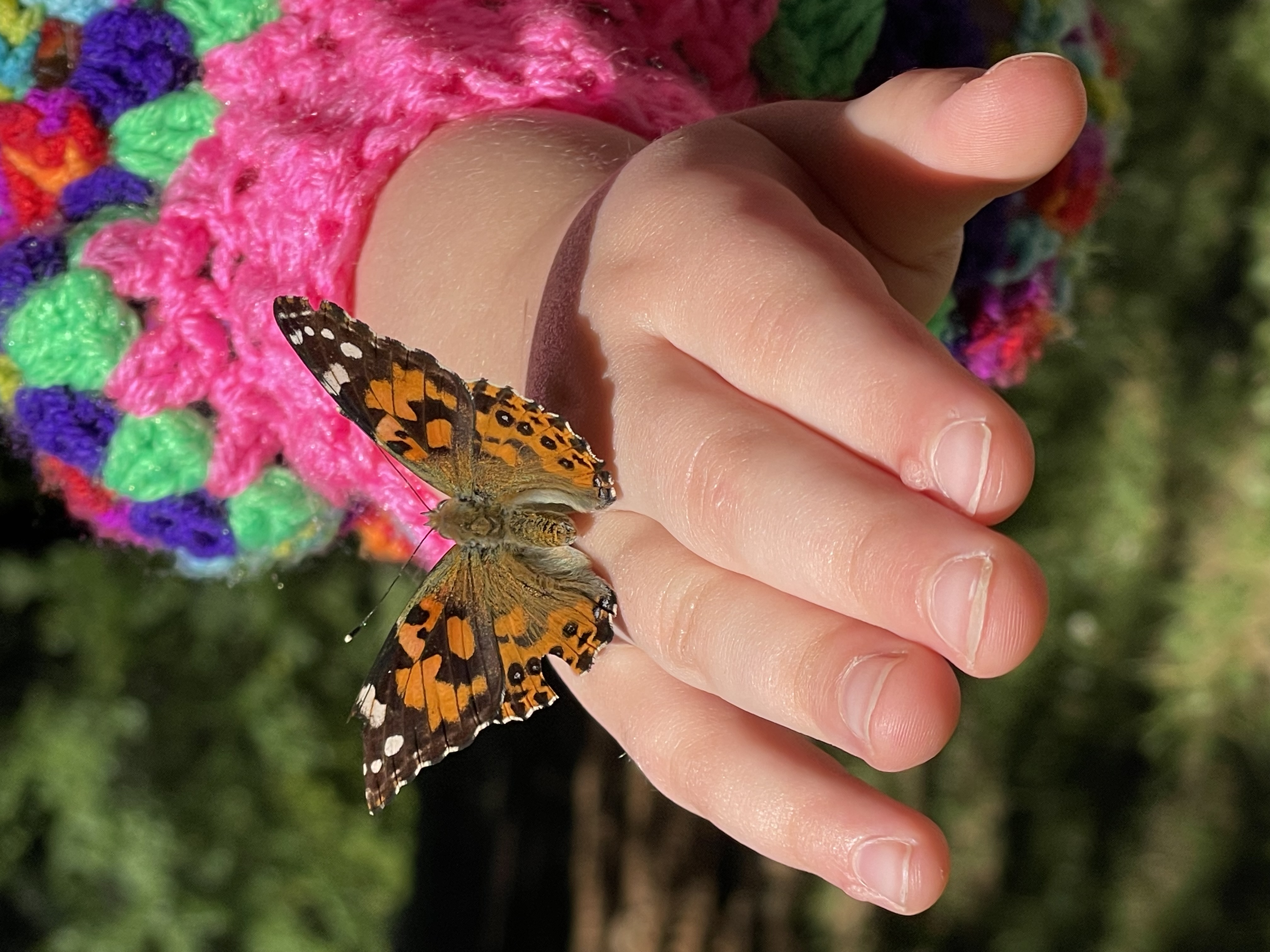 A special butterfly ceremony at the service.