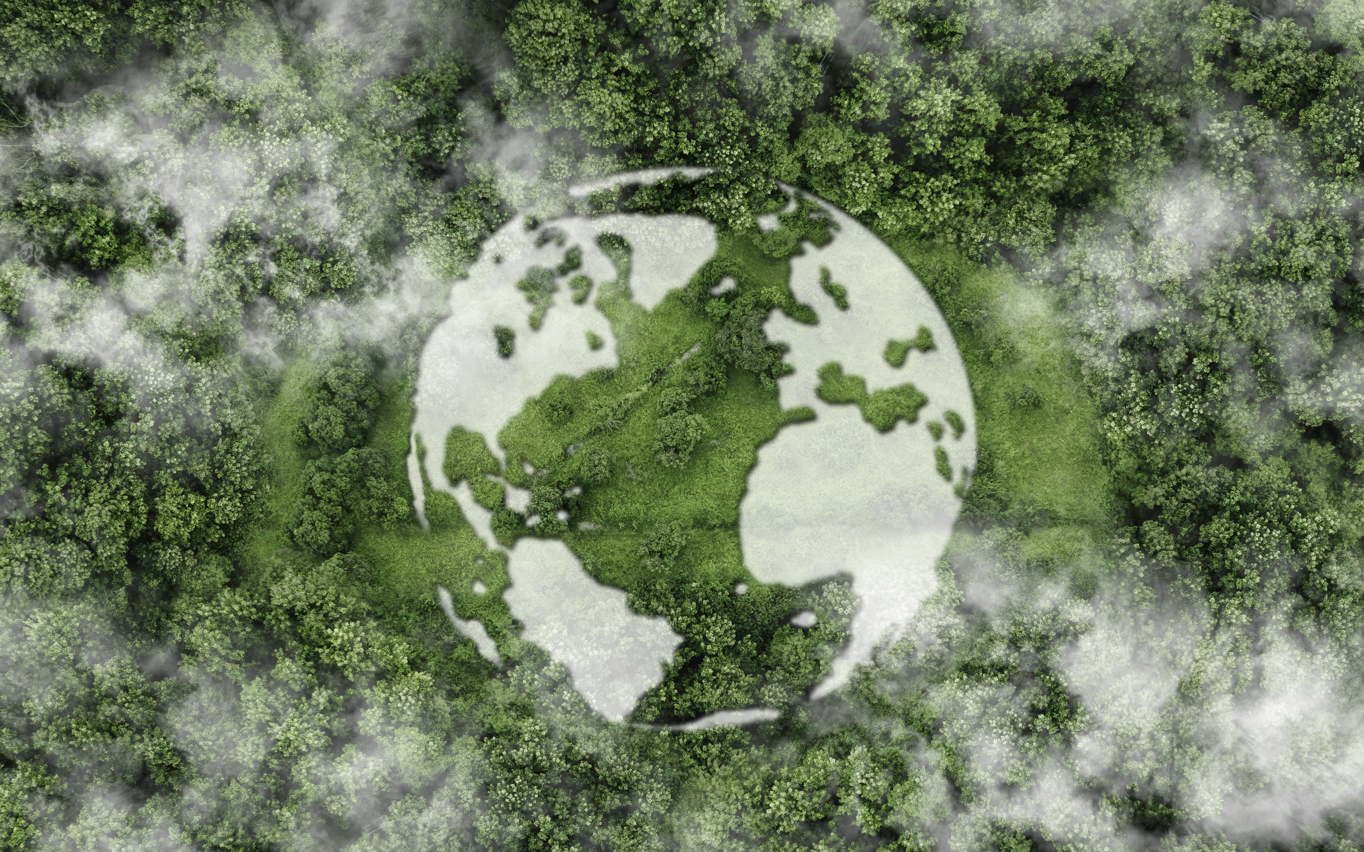 sustainability1