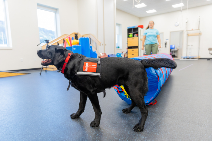 Wali assists in various types of therapies at Carilion Children's.
