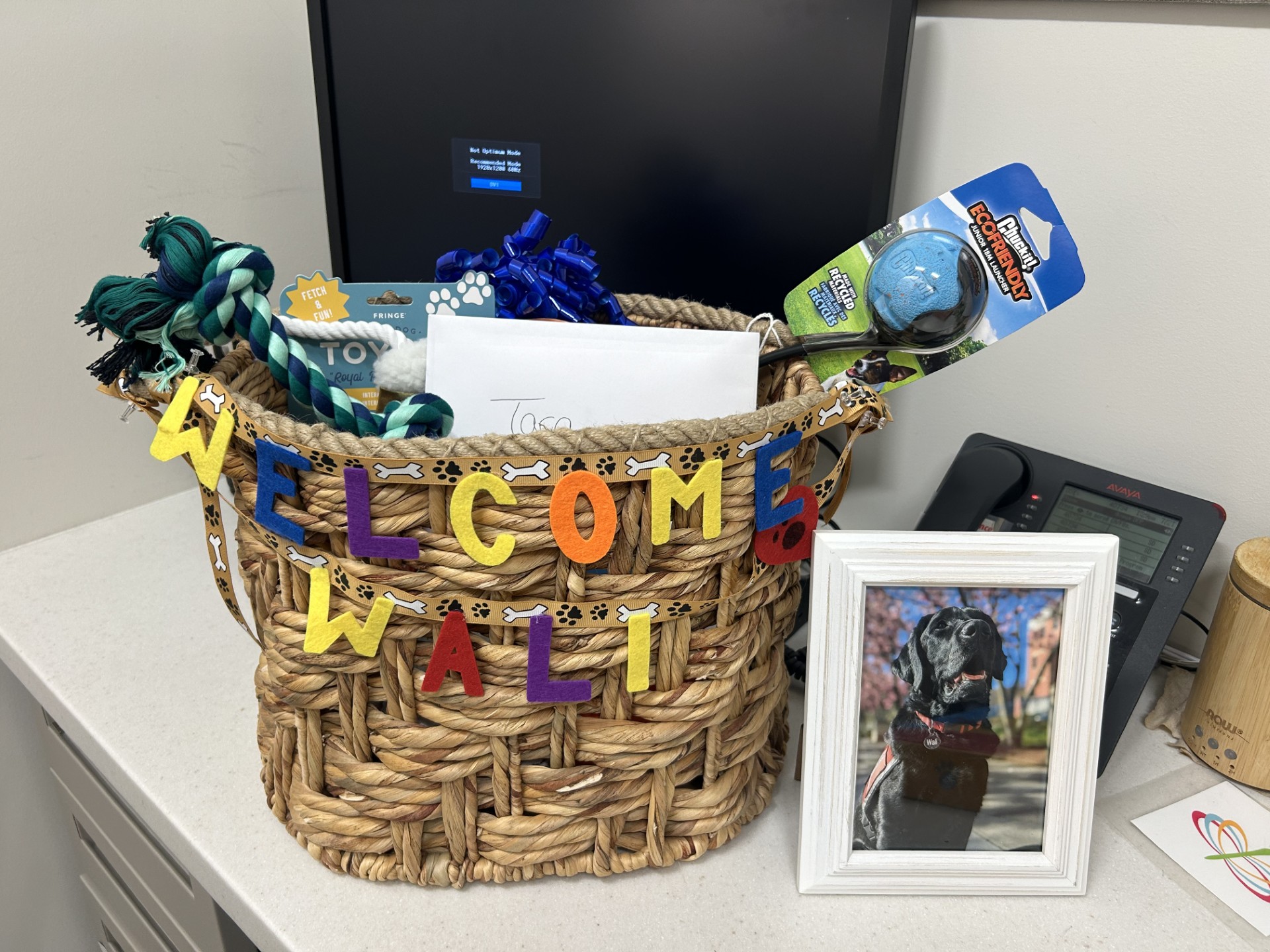 Wali received a warm welcome from his new colleagues. 