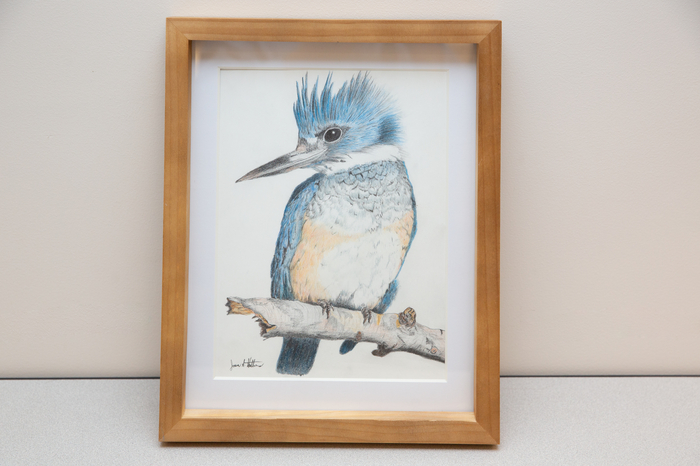 "Kingfisher", Jason Hutchens, Professional