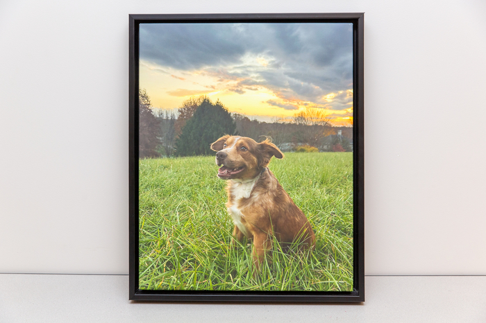 "Sunset Buddy", Mae Beth Watkins, Amateur