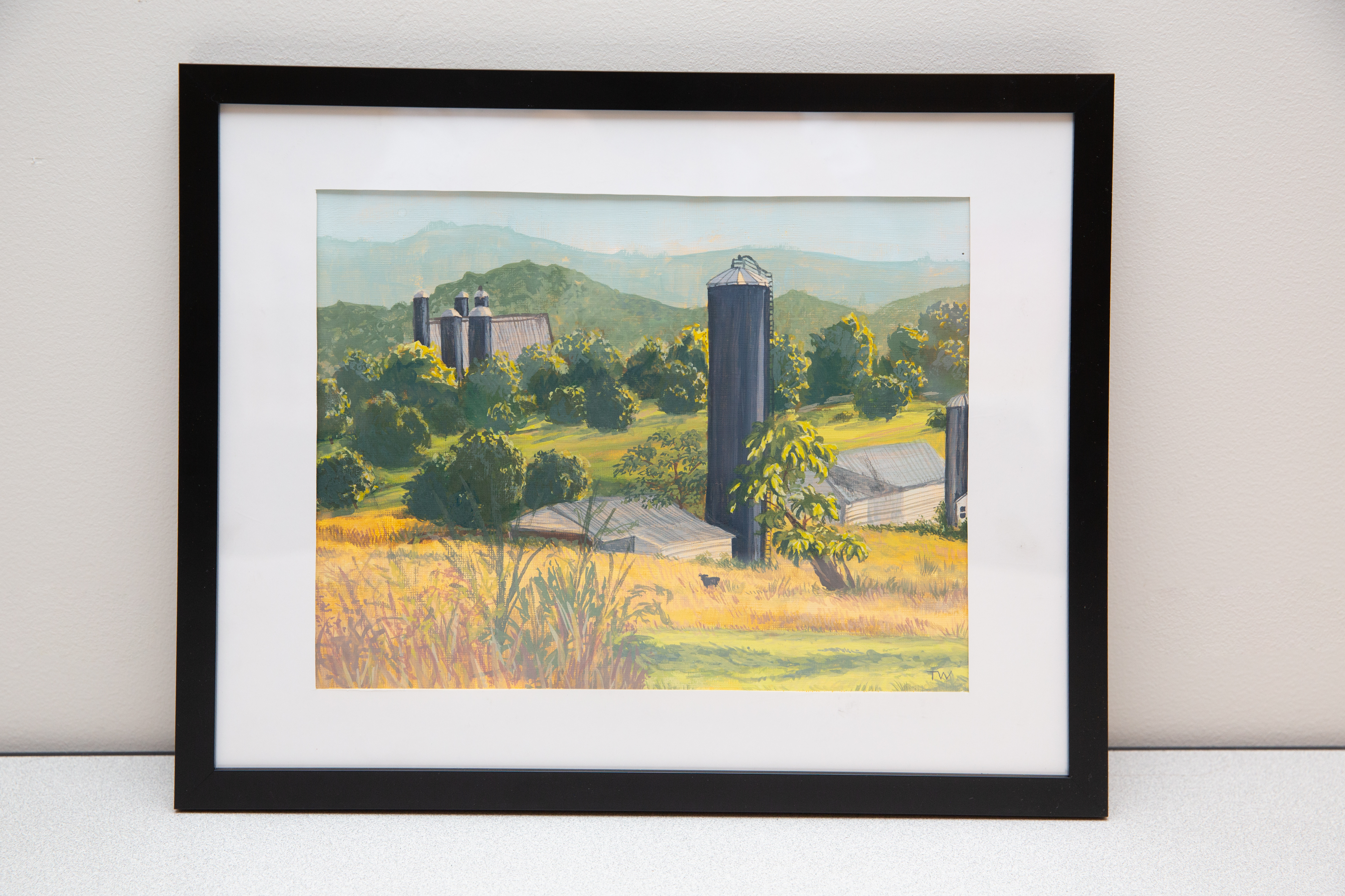 "Views that Heal-Rockingham County, VA", Tamara Wagner, Intermediate