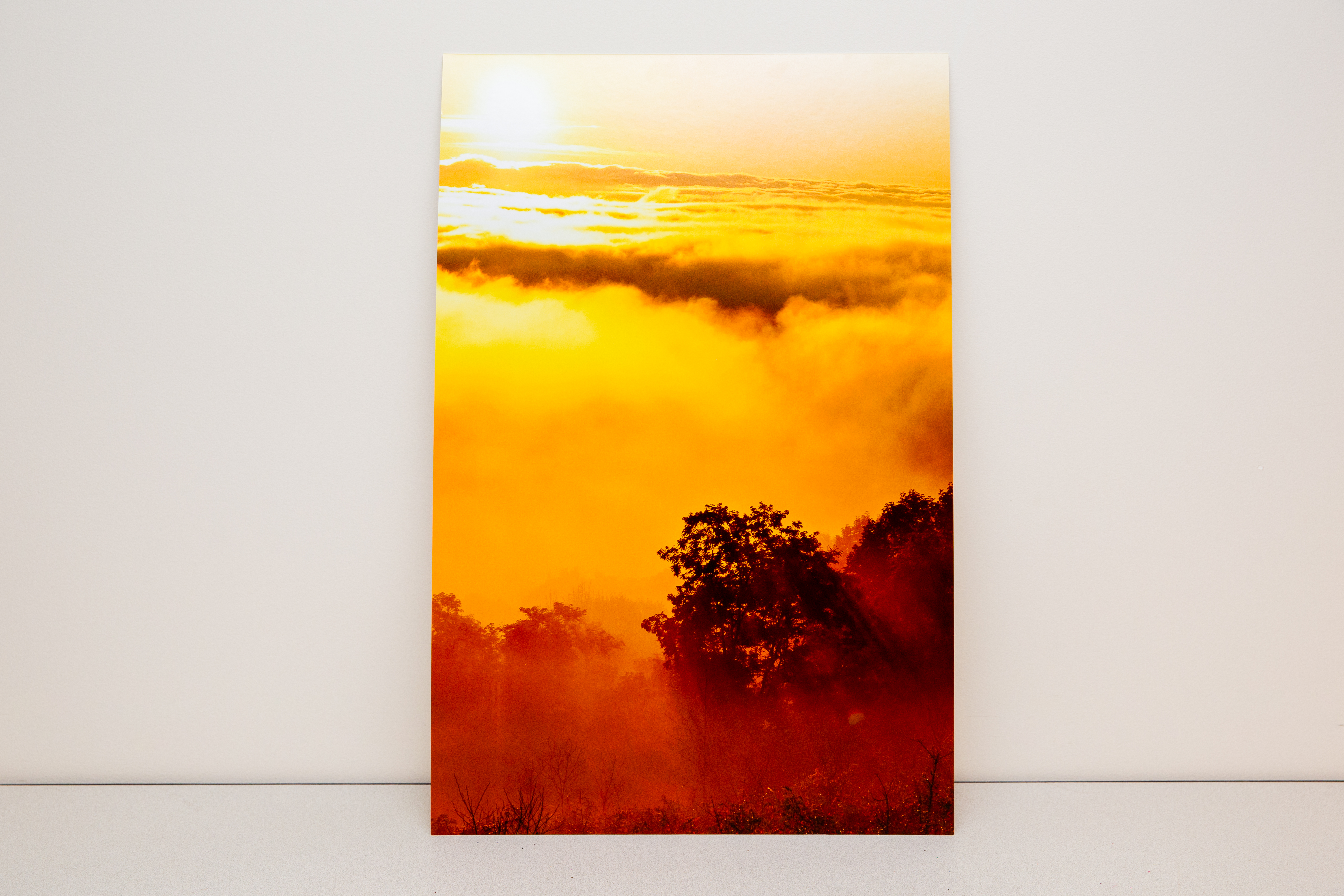 "Morning Glory-Grayson Highlands", Greta-Anne Whiteside, Intermediate