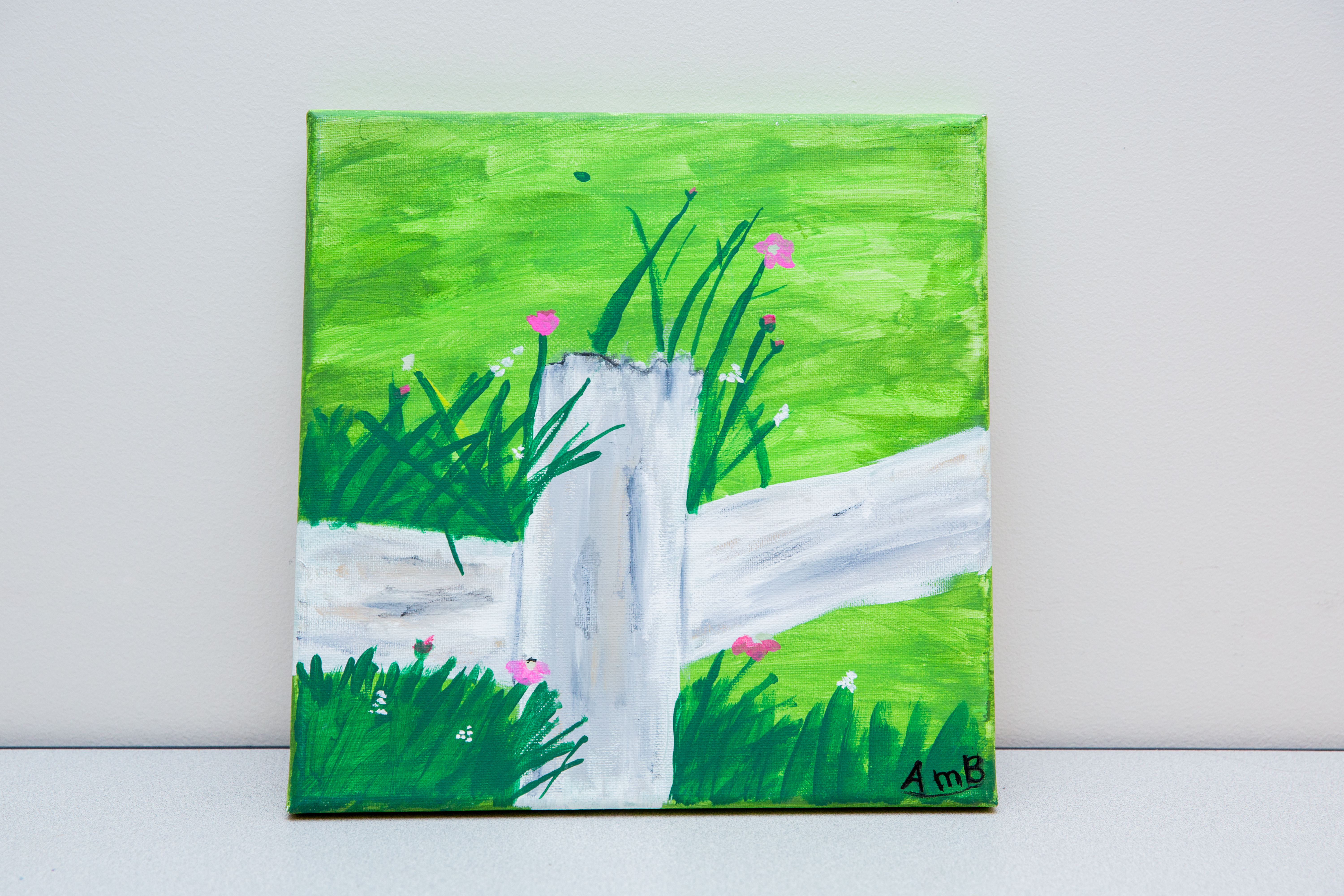 "The Fence", Avery Bona, Youth