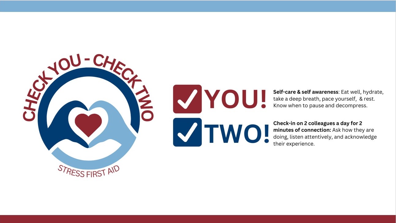 Slide Describing Check You - Check Two