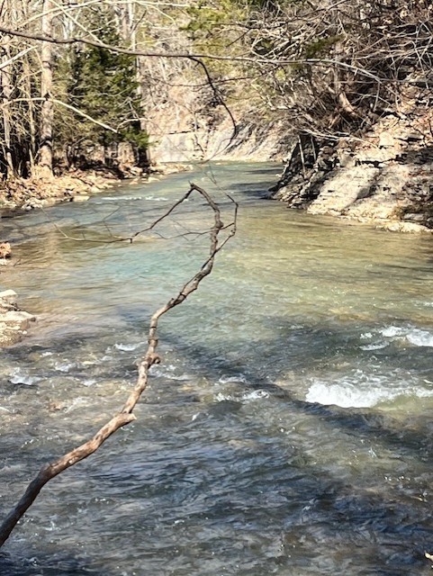 Andy Layne Trail, submitted by Margaret Perry