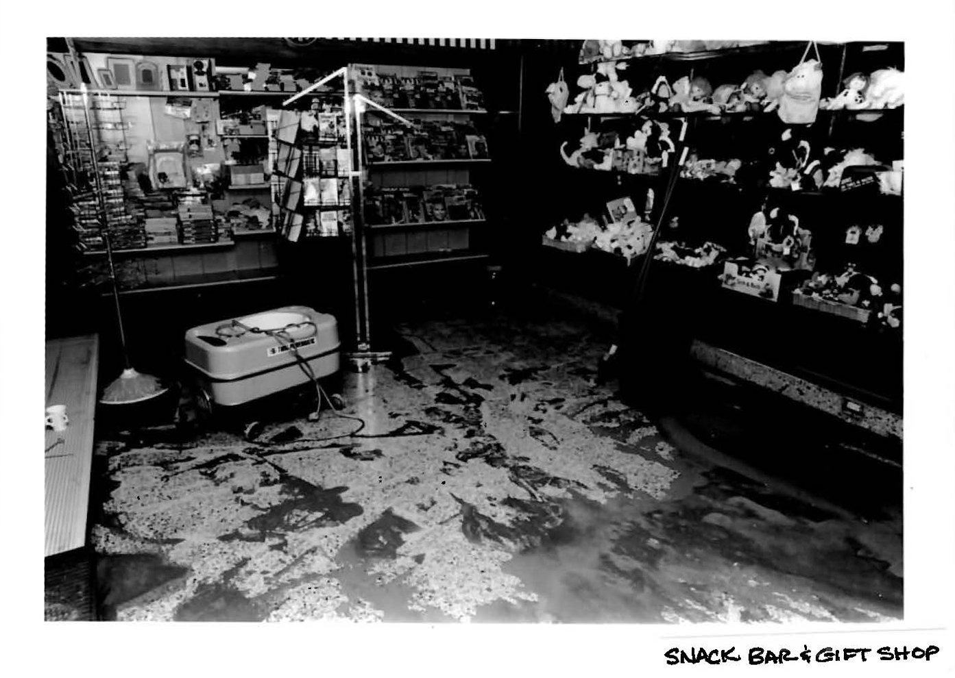 Flood 1985