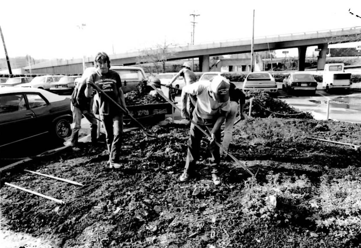 Flood 1985