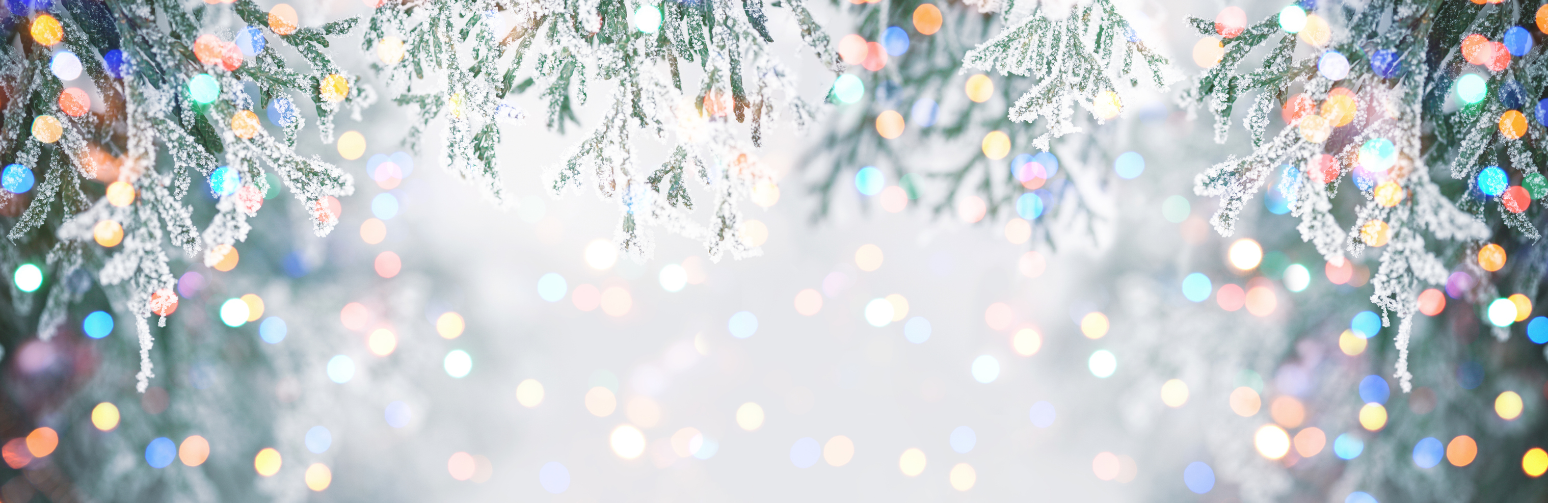 holiday lights