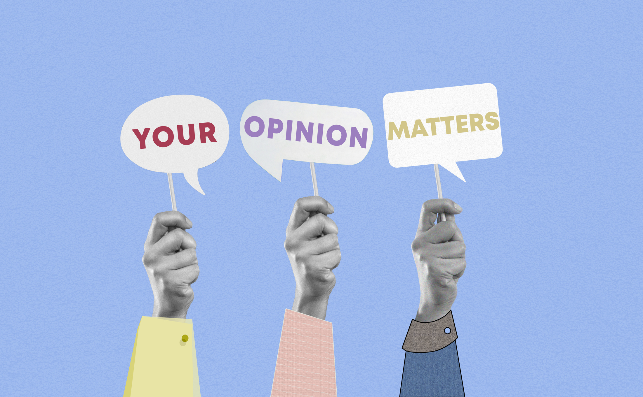 your opinion
