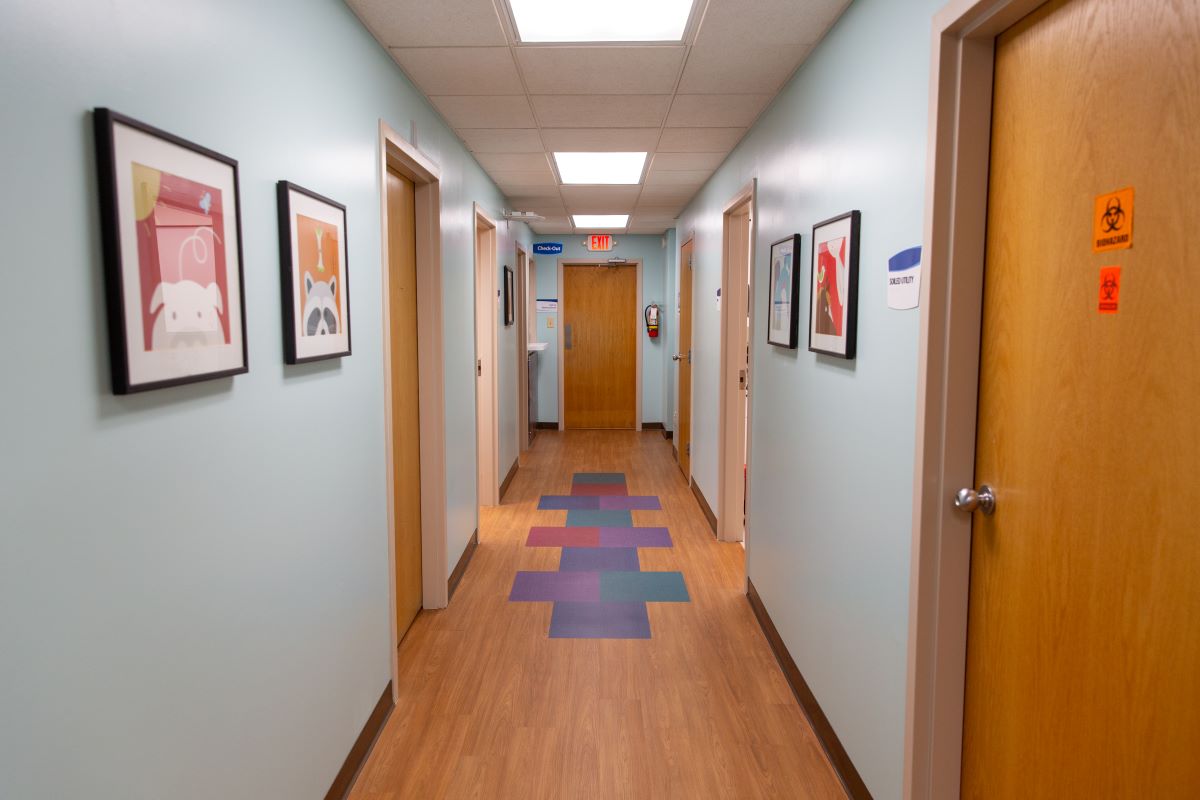 Hallway showing exam rooms.
