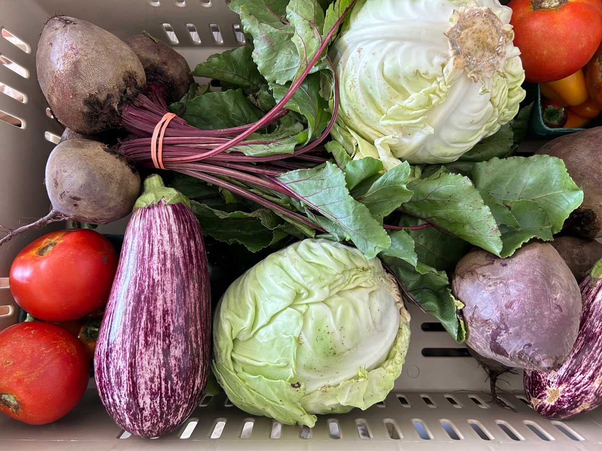 LEAP farm share example