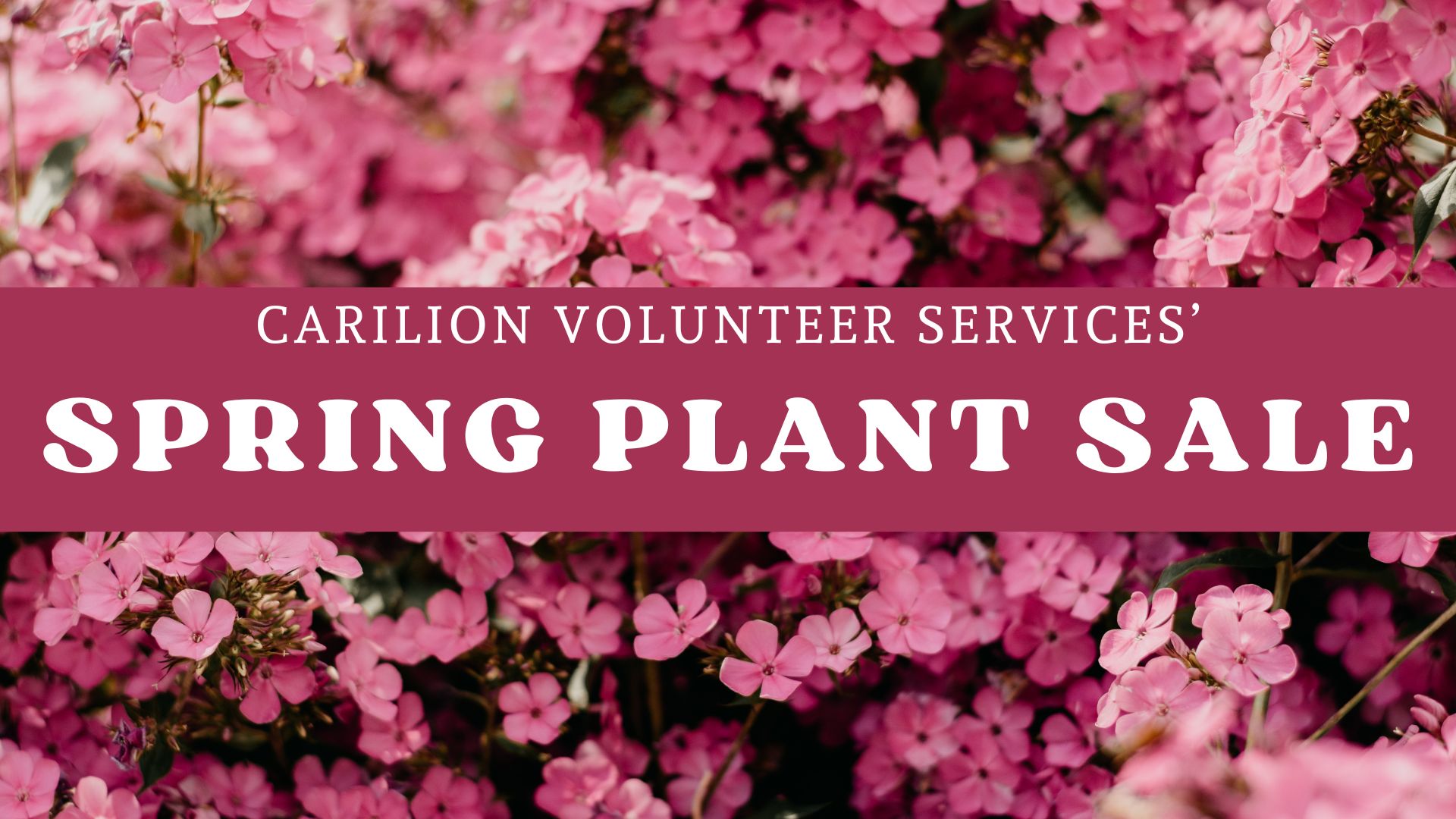 Plant sale graphic