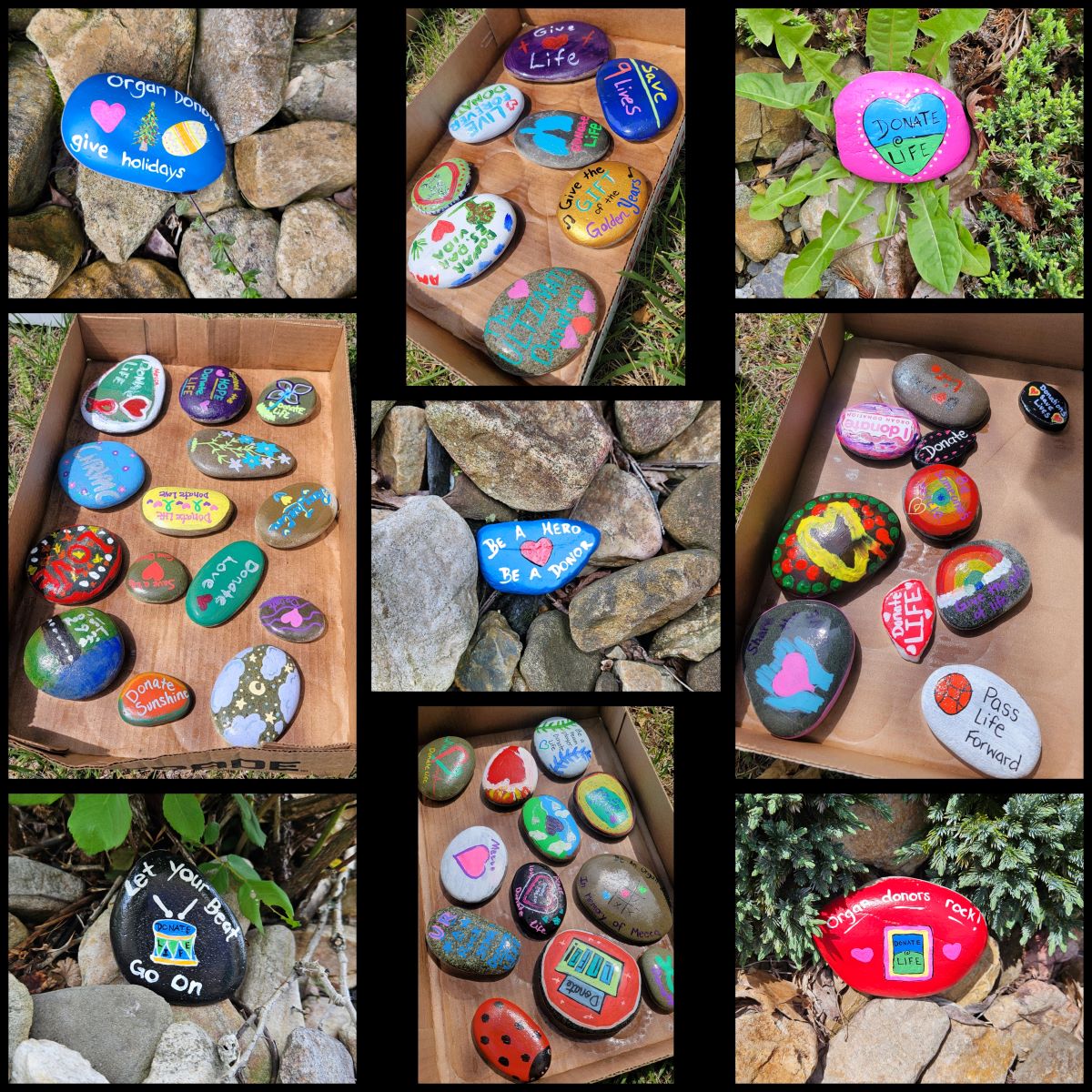 Rock painting from the Donate Life event.