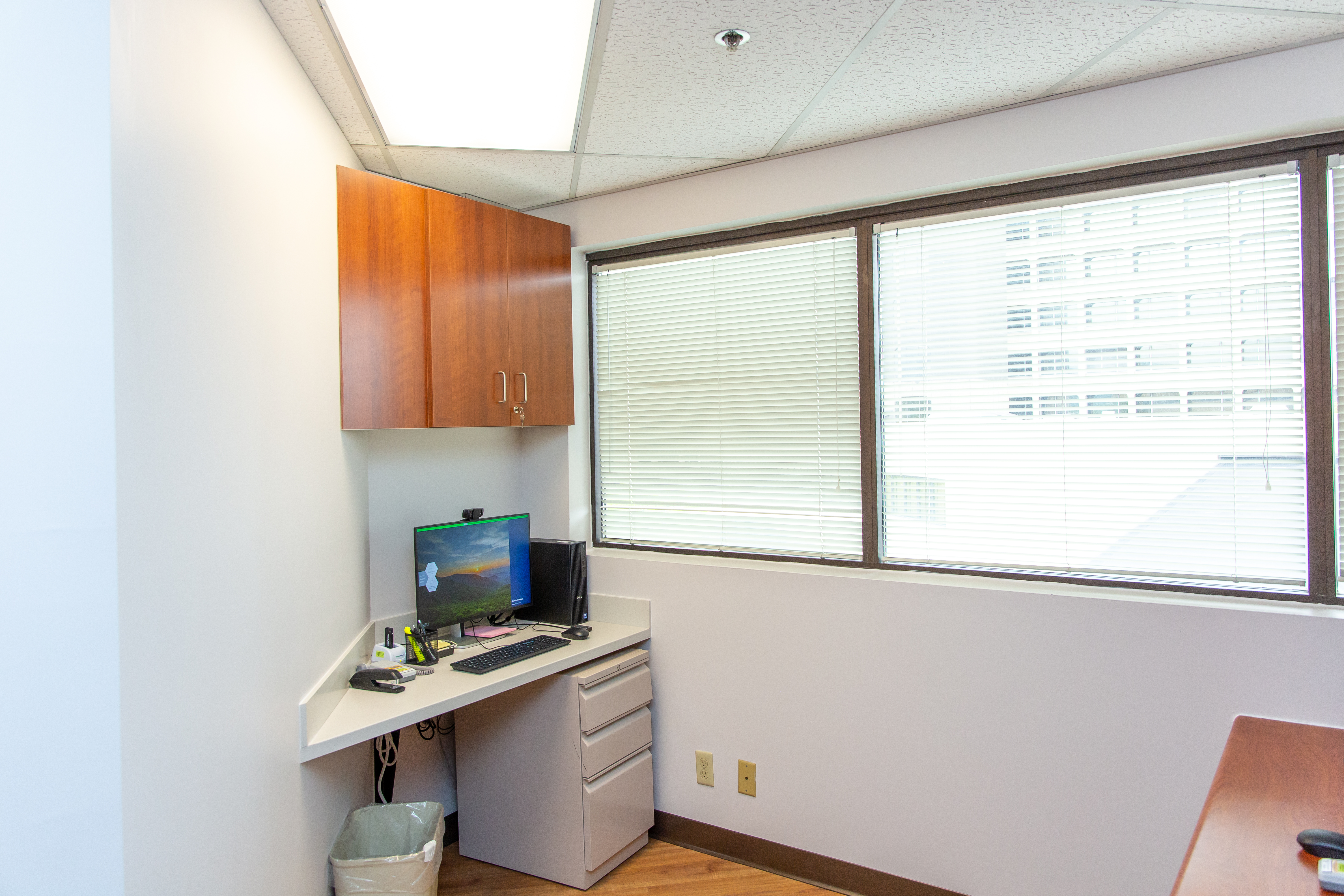 Inside the new midwifery practice