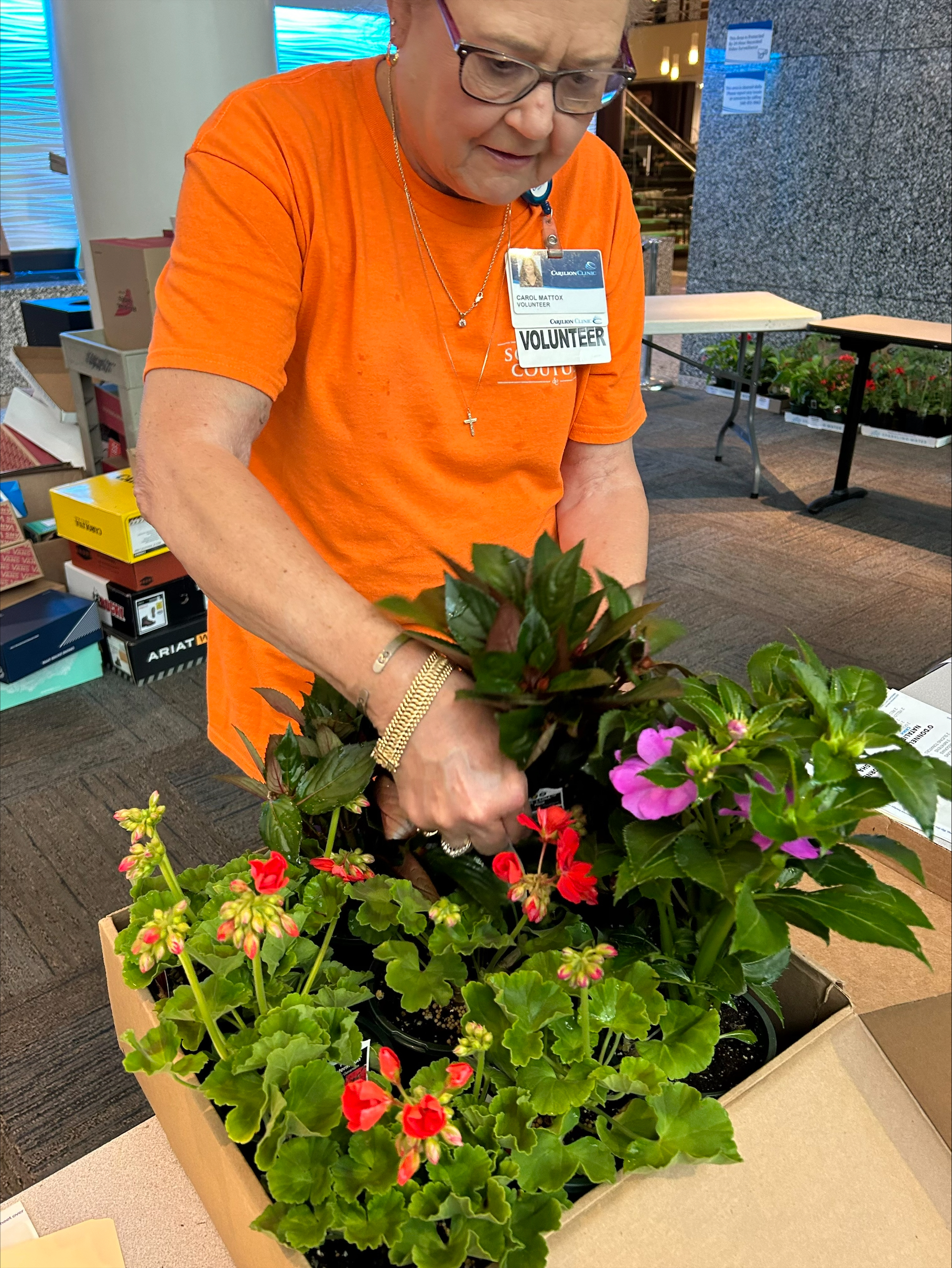 Plant Sale