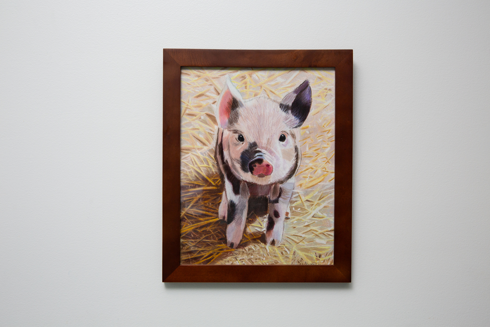 "This Little Piggy" by Abigail Heletz