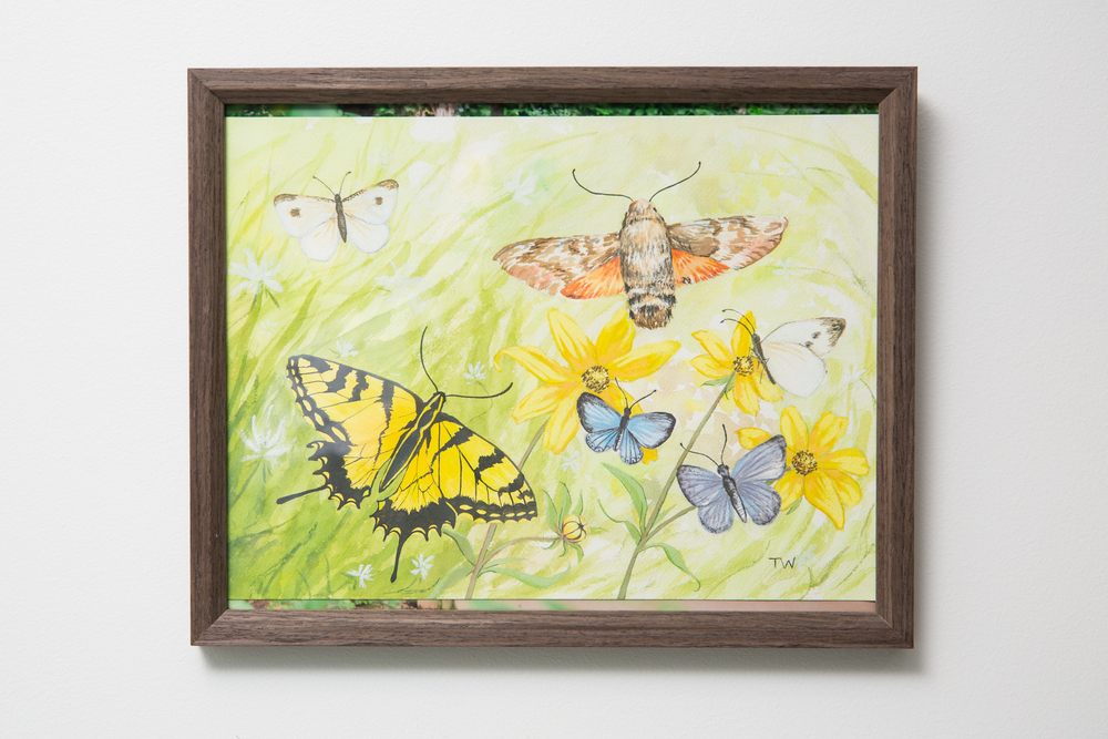 "In the Meadow" by Tamara Wagner