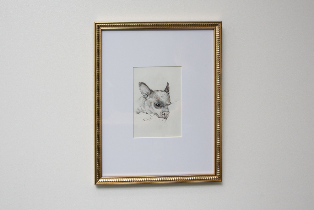 "Peanut" by Betka Douglas