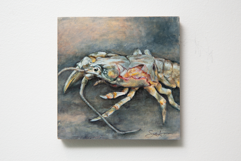"Healed" by Sara Harper