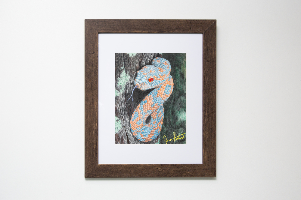 "Your Eyes Shall Be Opened" by Jason Hutchens
