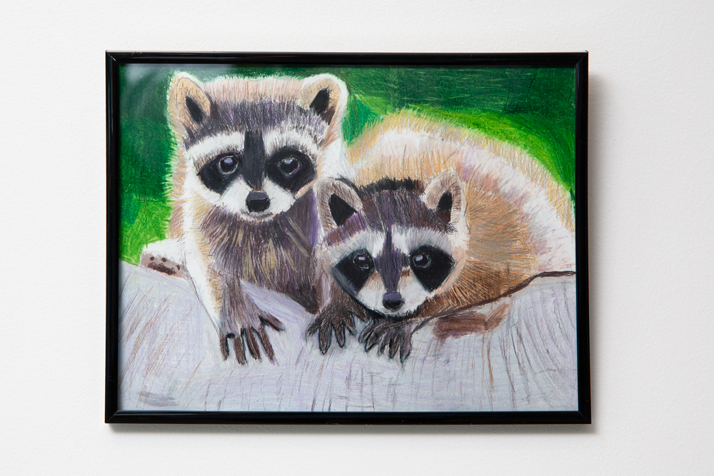 "Masked Bandits" by Margaret Heletz