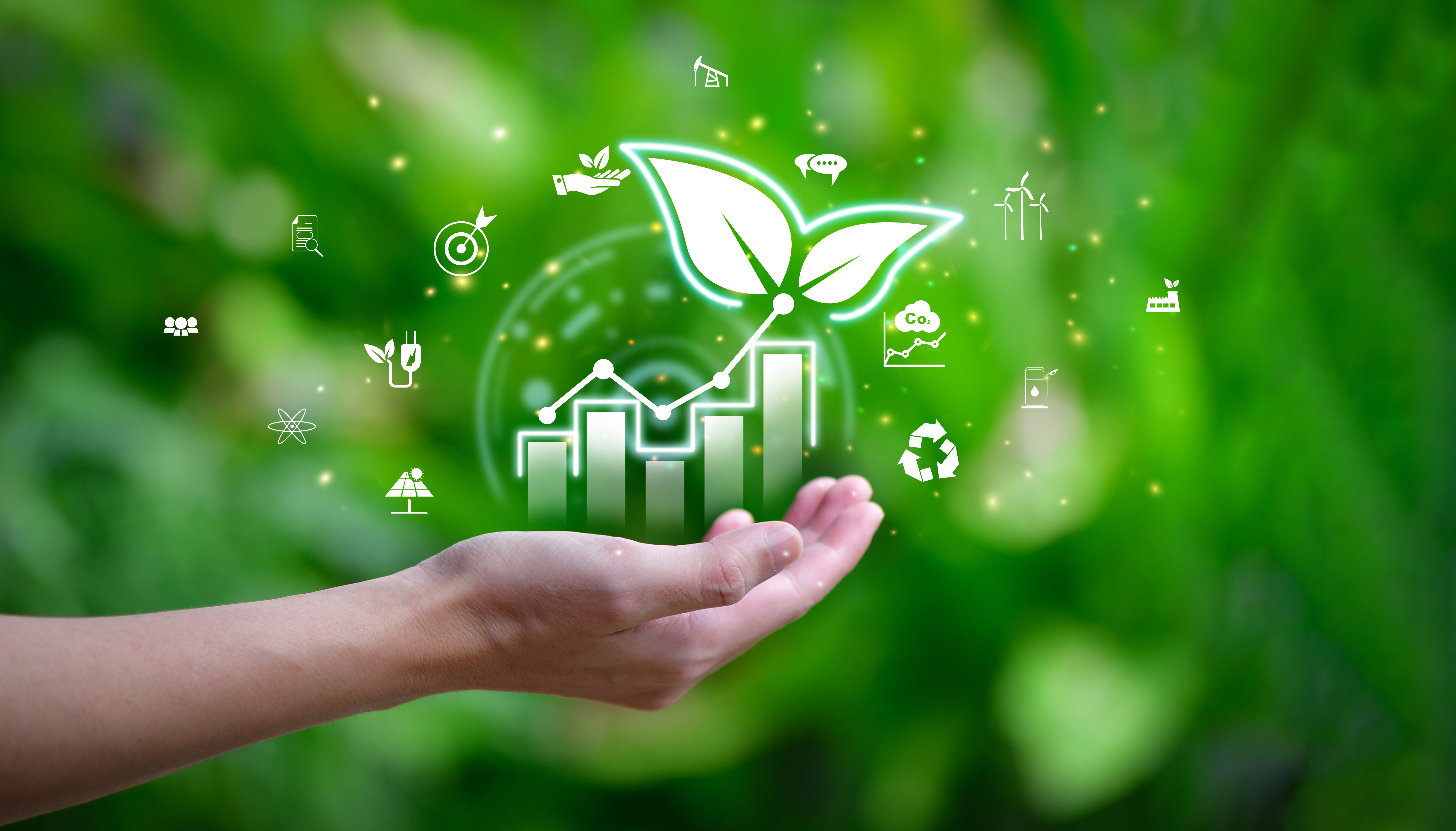 Sustainability image