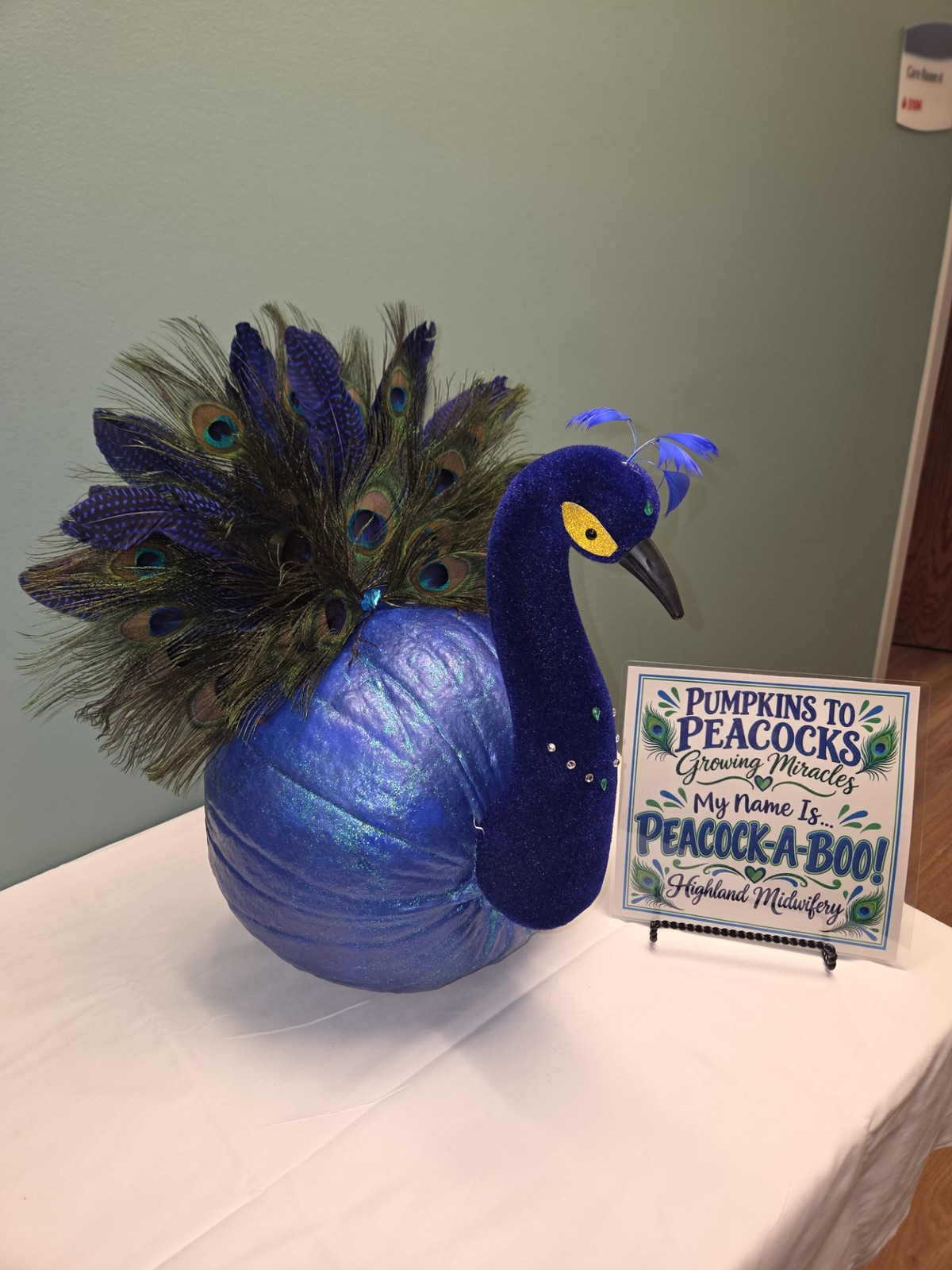 Ambulatory, 2nd Place: Highland Midwifery "Pumpkins to Peacocks - Growing Miracles"