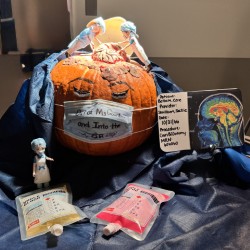 Ambulatory contestant: Neurosurgery
