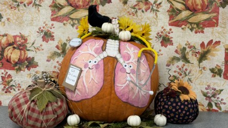 Ambulatory contestant: Pulmonology and Sleep Medicine - Crystal Spring