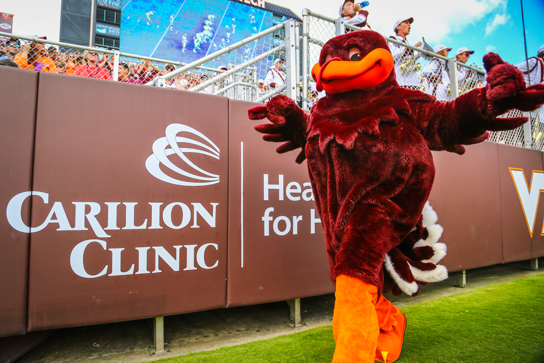 vt hokie bird