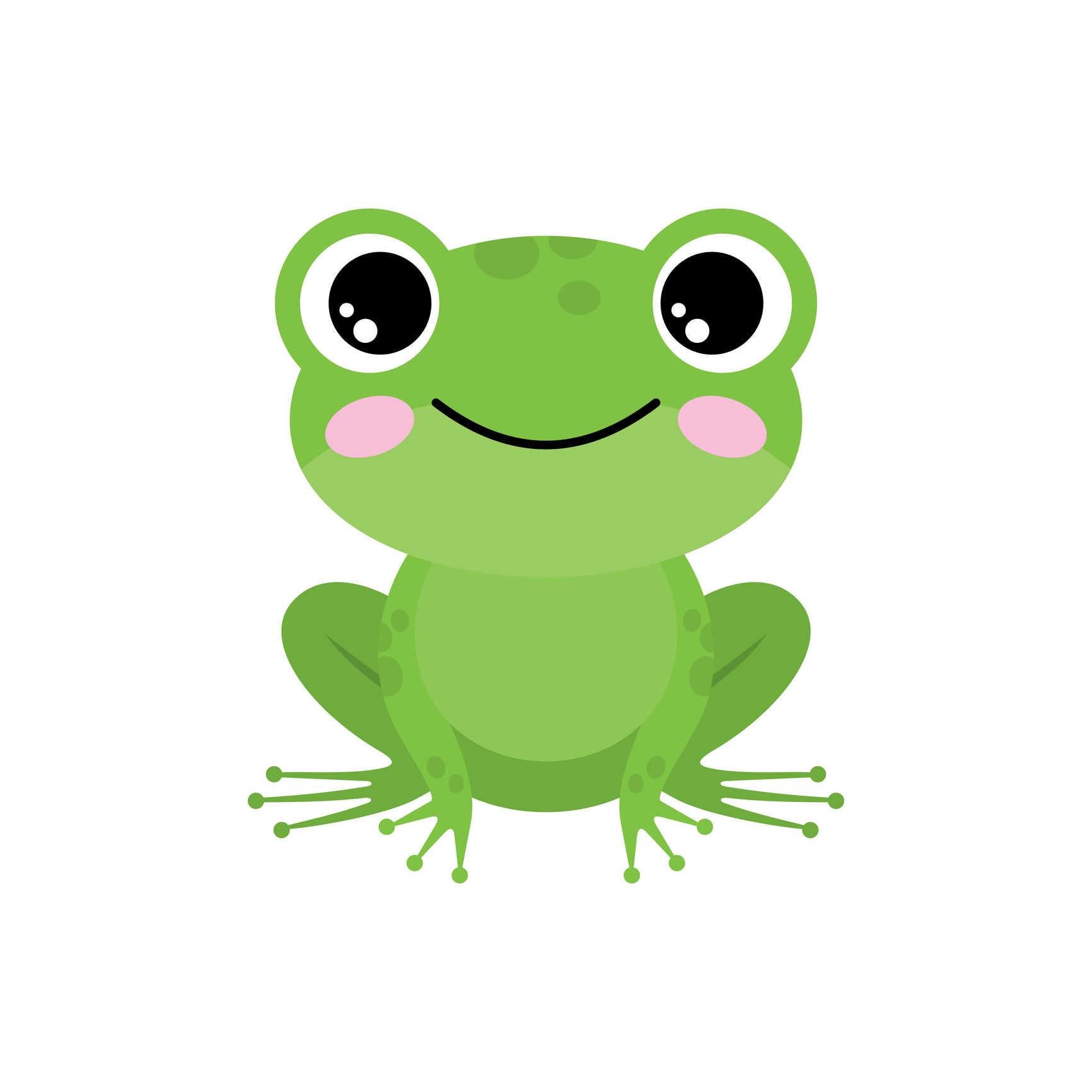 new frog
