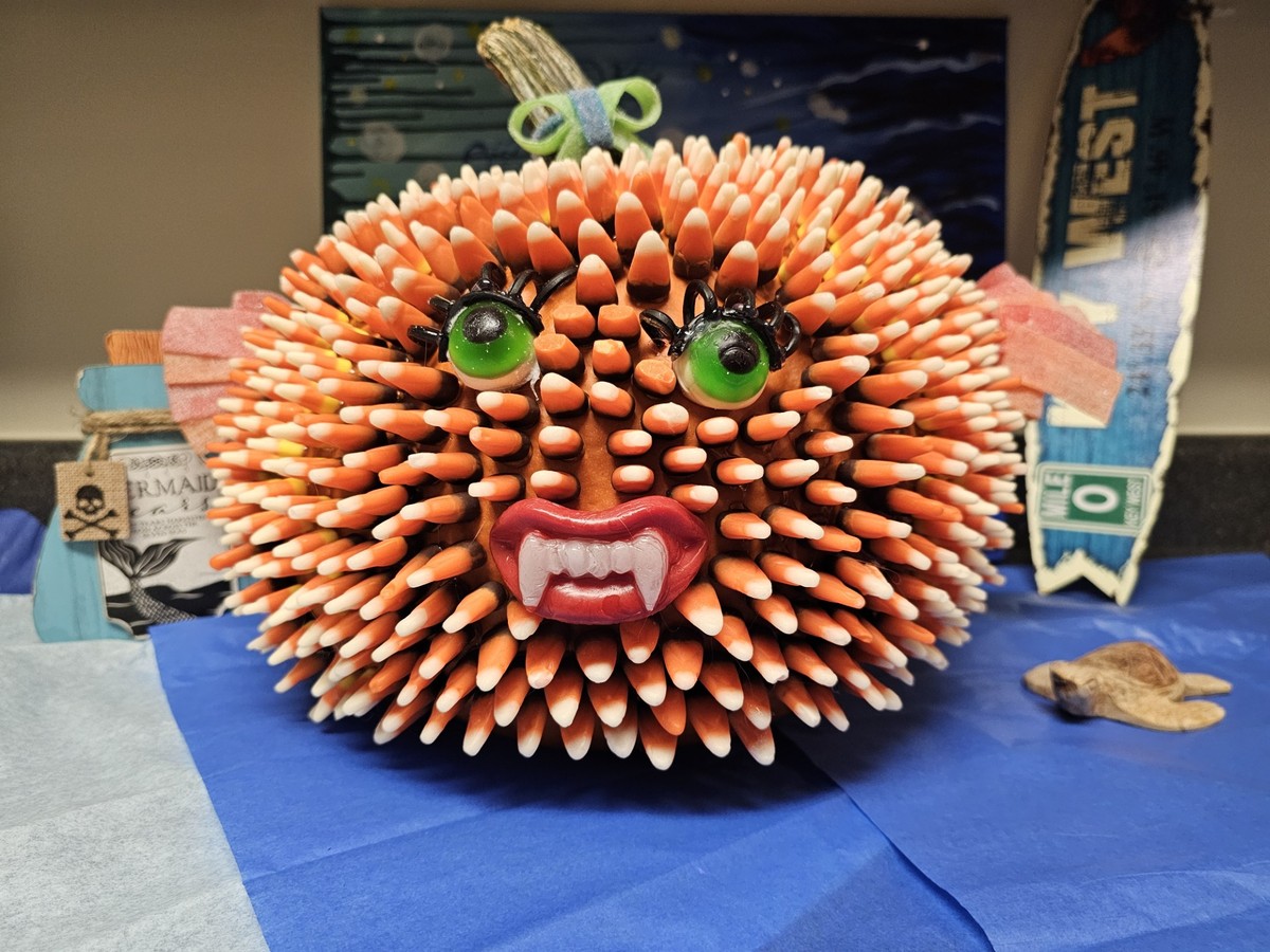 blowfish pumpkin