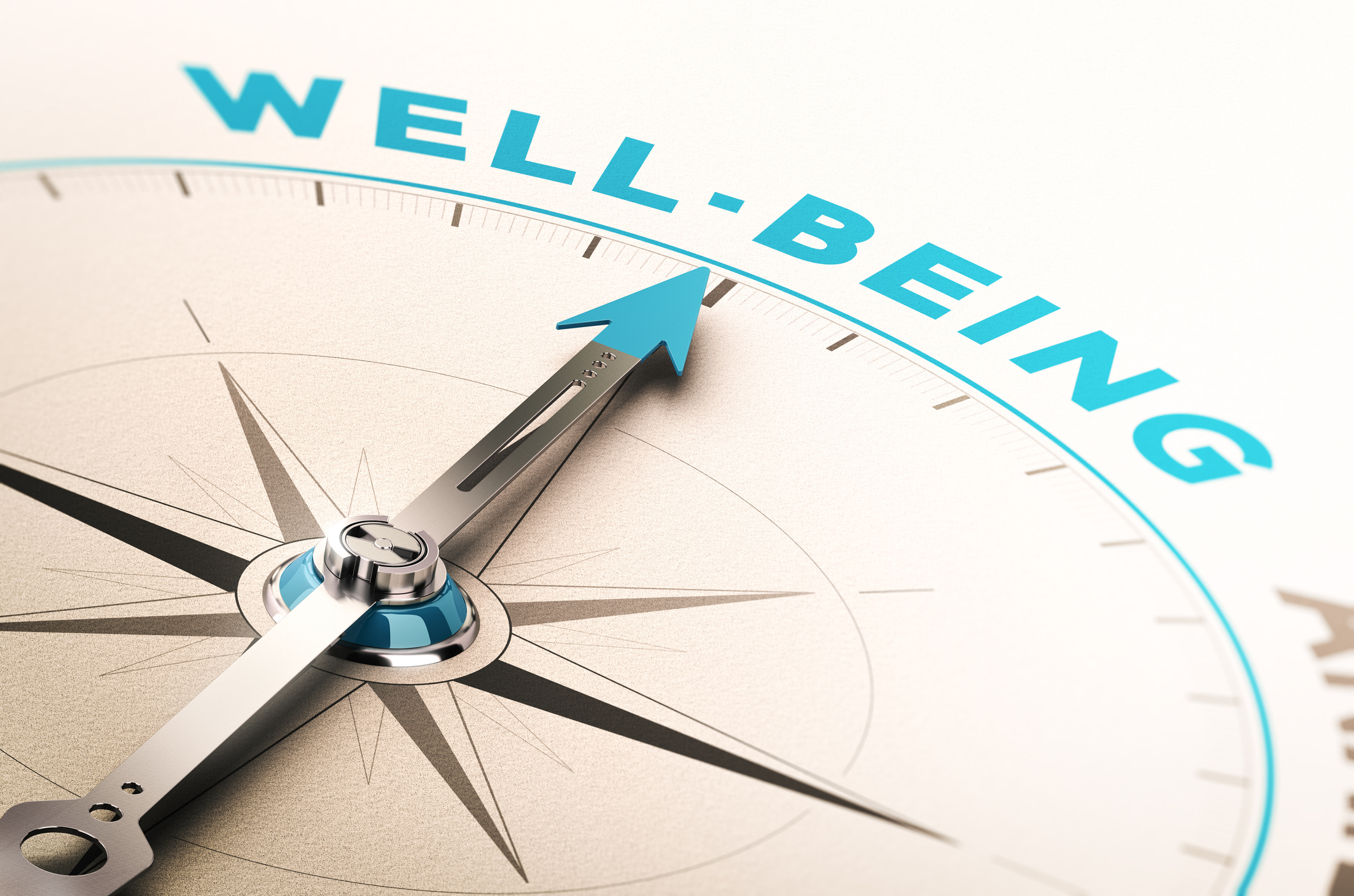 Well-being compass