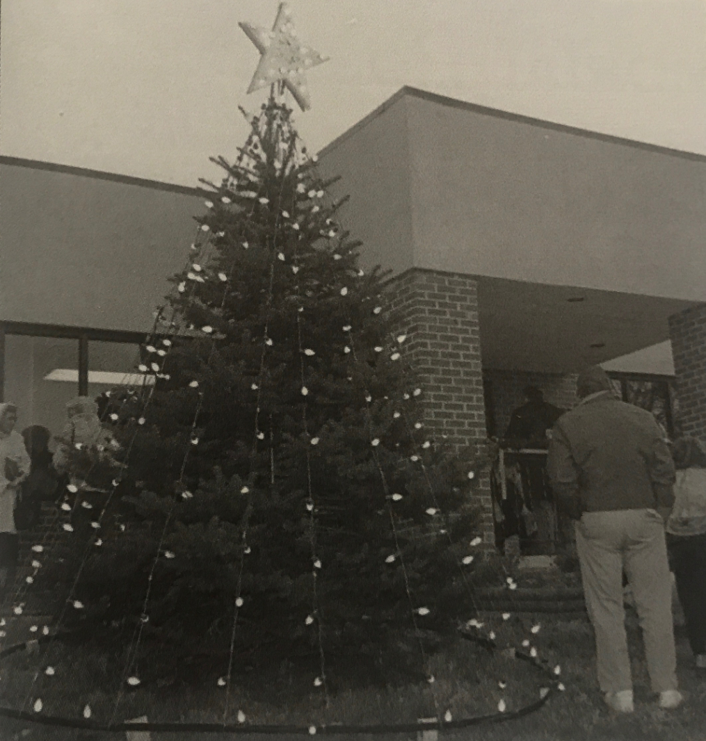 tree