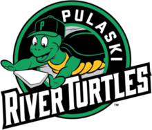 river turtles logo