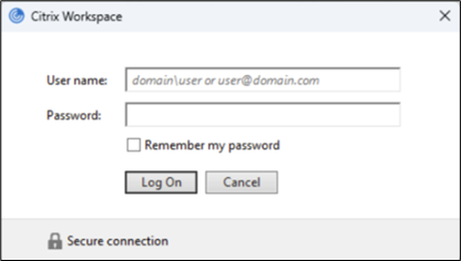 Citrix log-in box