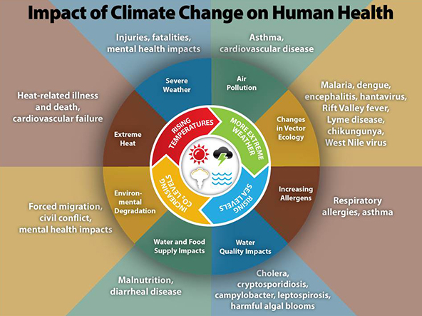 CDC Graphic