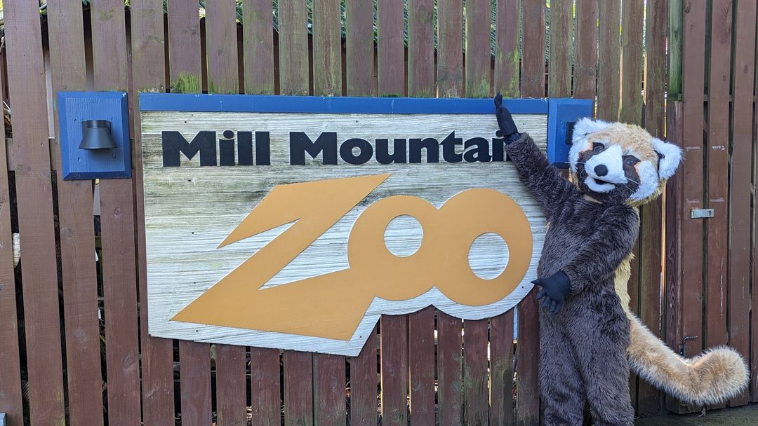 mill mountain zoo