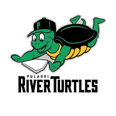 pulaski river turtles logo