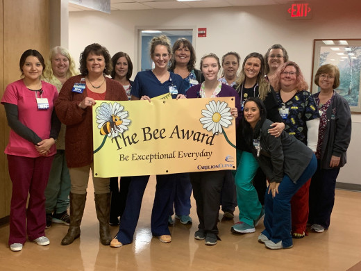 Ancillary Council presented the first ever Bee Award